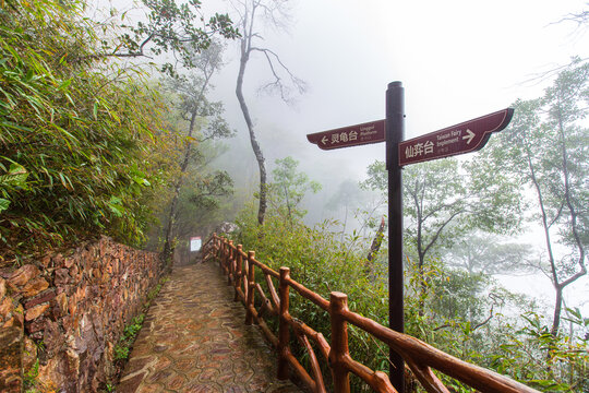 北帝山旅游风景区步道