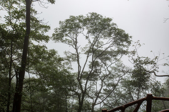 北帝山景区风光