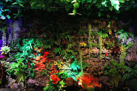 热带植物墙