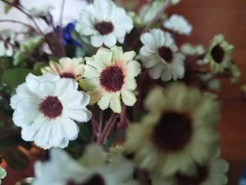 布艺花卉