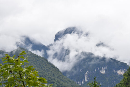 高山晨雾