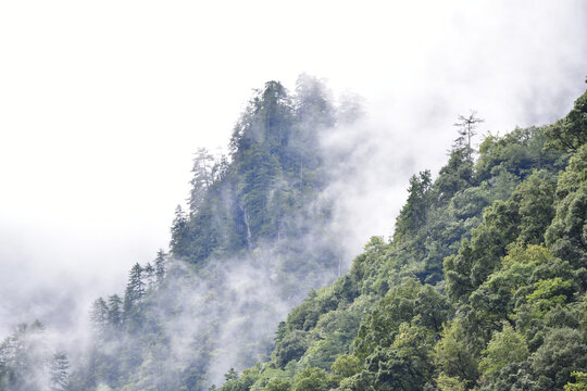 高山晨雾