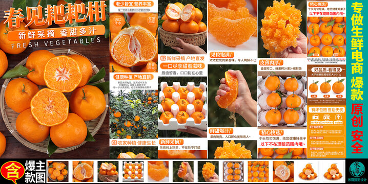 春見耙耙柑詳情頁主圖