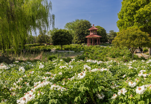 苏州花卉植物园