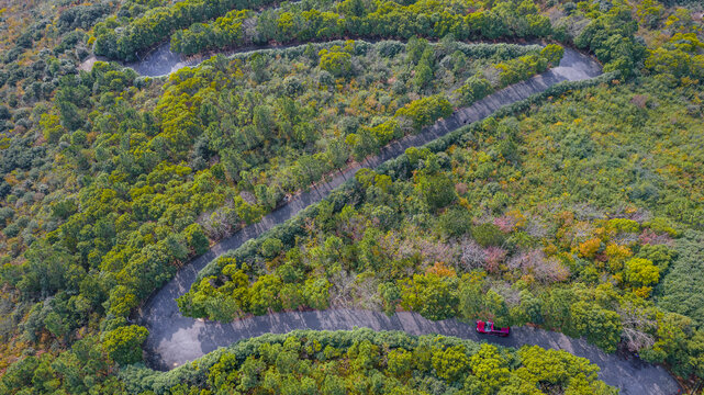 苏州东山莫厘峰山路秋色