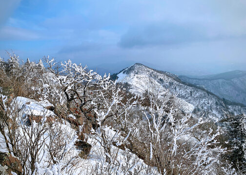 冬雪中的花脖山