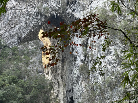 荔波大七孔景区