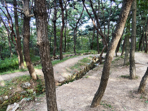 东鸡冠山北堡垒