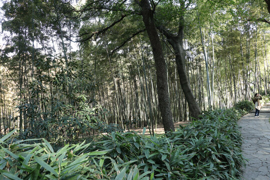 苏州虎丘山风景区