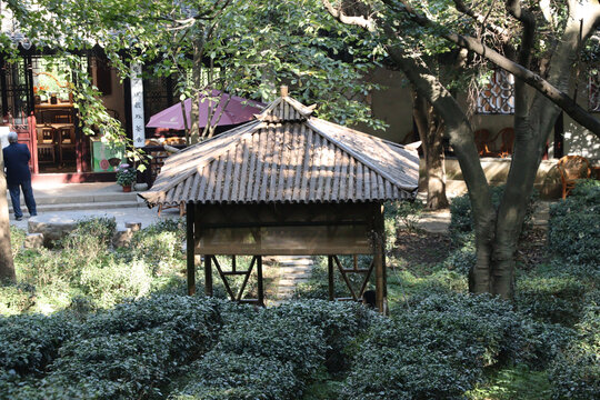 苏州虎丘山风景区