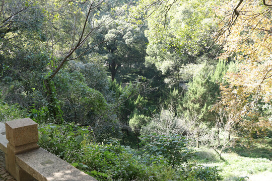 苏州虎丘山风景区