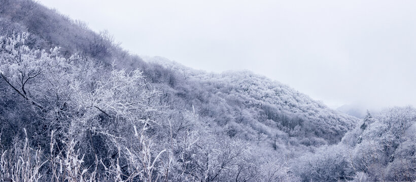 秦岭雪景