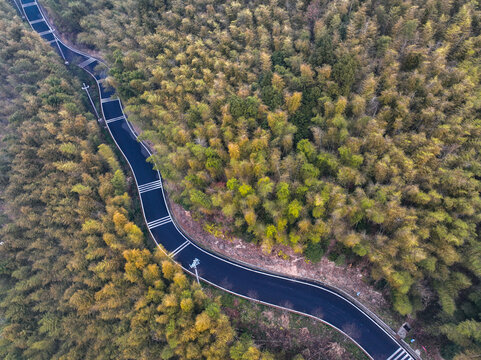 航拍下的竹海与公路