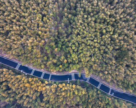 蜿蜒的山路