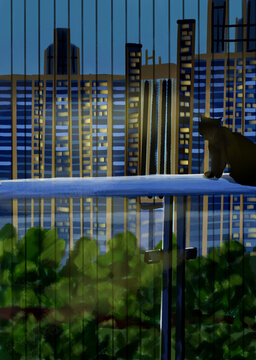 夜晚城市环境窗外猫咪手绘插图