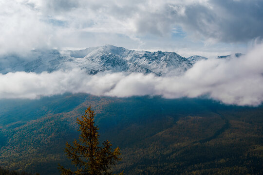 云山