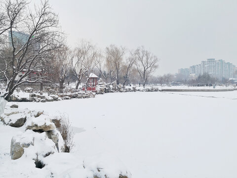 雪景