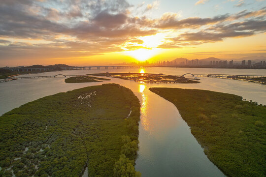 厦门航拍下潭尾湿地公园