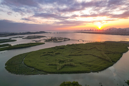 厦门航拍下潭尾湿地公园