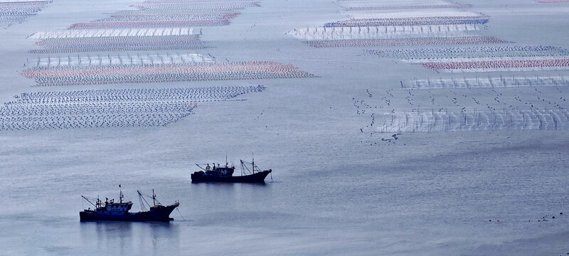 福建霞浦东壁海边滩涂风景