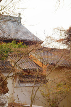 栖霞山栖霞寺