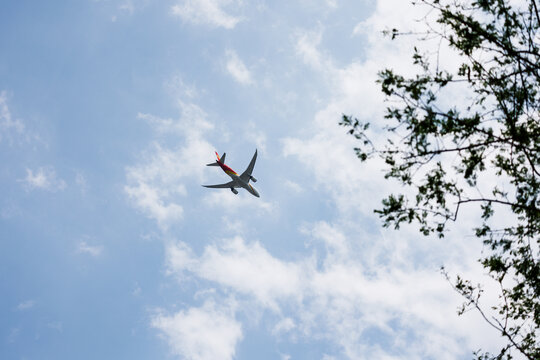 天空飞机低空飞行与地面树