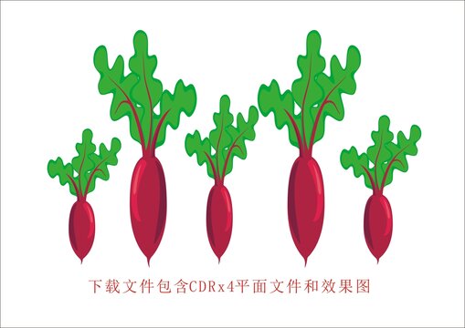 矢量植物花草蘿卜紅蘿卜素材