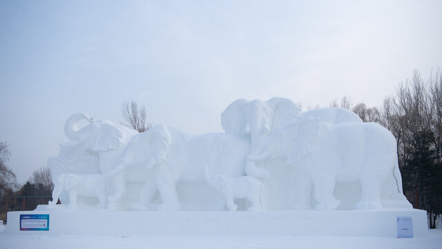 太阳岛雪博会精美雪雕