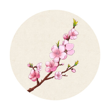 中國風插畫桃花