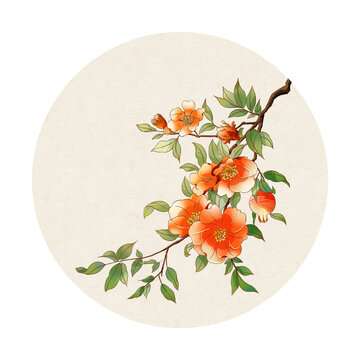 國風插畫石榴花