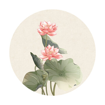 國(guó)風(fēng)插畫荷花