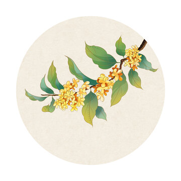 國(guó)風(fēng)插畫桂花