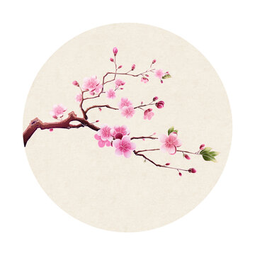 國風(fēng)插畫梅花