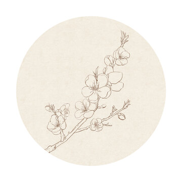 中國風(fēng)白描線條桃花