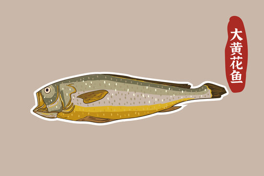 大黃花魚