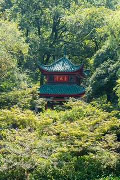 岳麓山爱晚亭