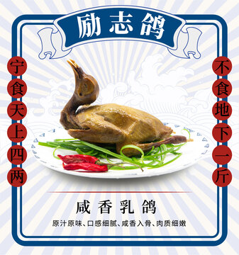 勵志鴿