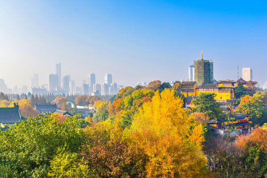 南京秋景