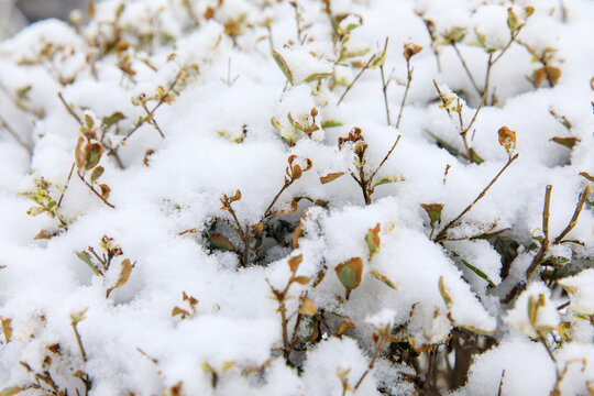 下雪了