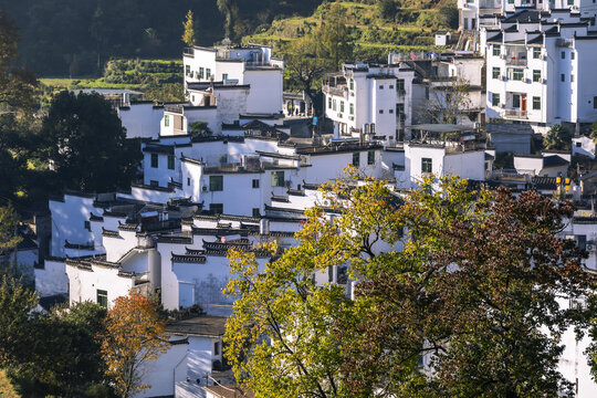 婺源江岭