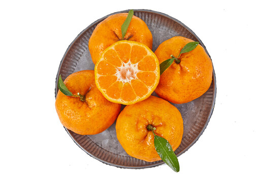 椪柑橘