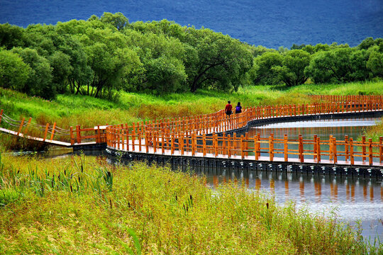 黑瞎子岛湿地木栈道