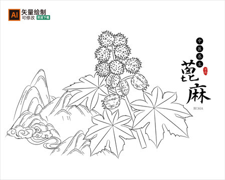 线描蓖麻