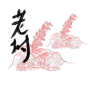 老樹(shù)