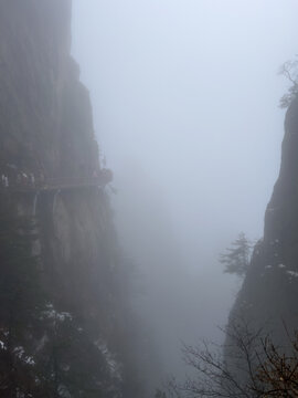 老君山雾雪