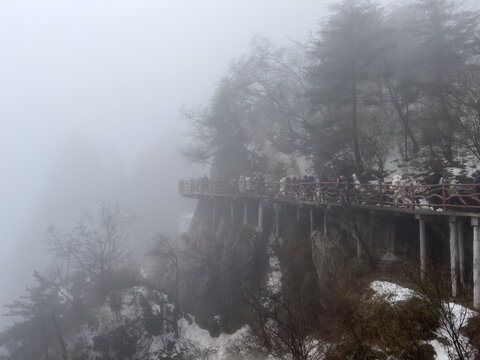 老君山雾雪