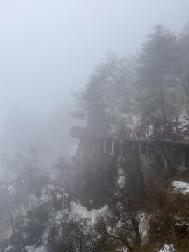 老君山雾雪