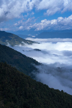 茶山云海