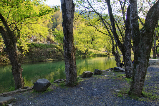 绿水青山