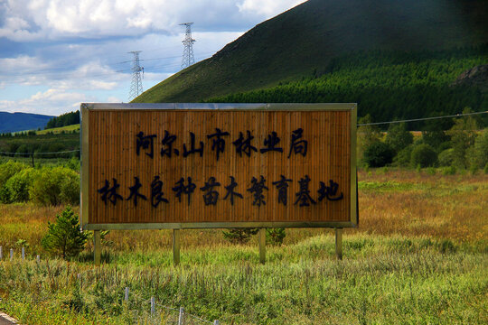 阿尔山苗木繁殖基地